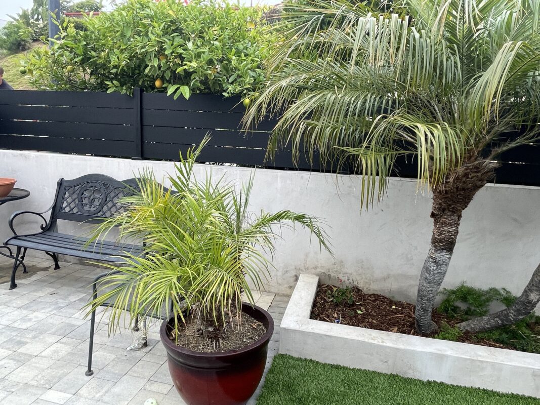 Modern black fence with greenery, adding elegance and privacy to an outdoor space.