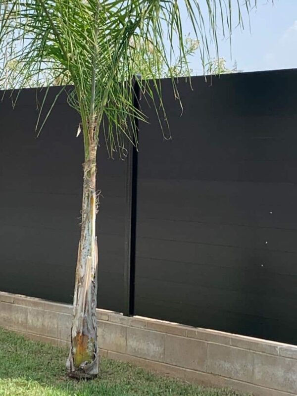 Black Aluminum fence