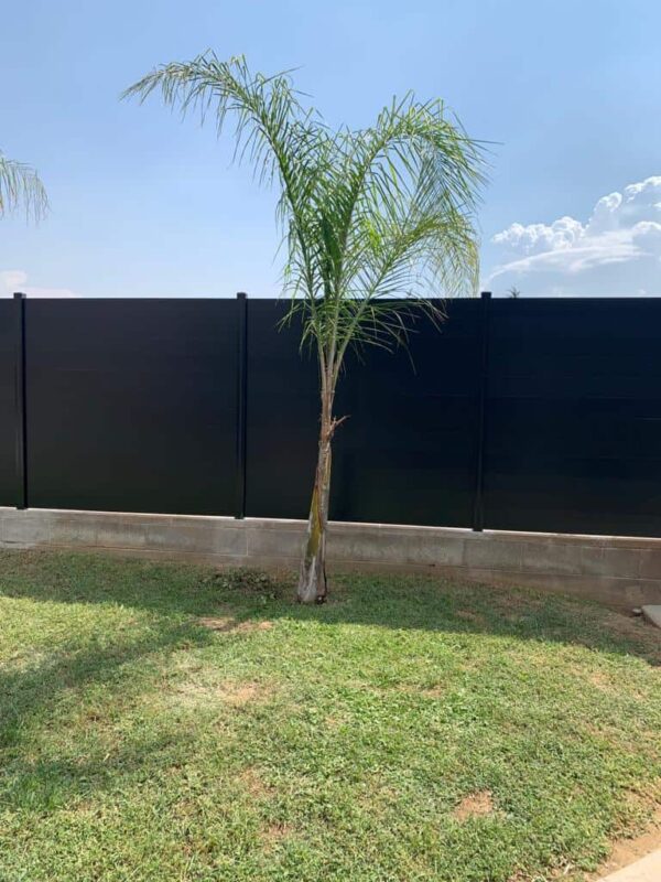 Black Aluminum fence