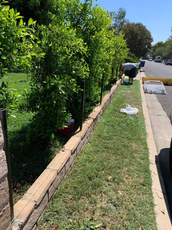 Brown Aluminum fence
