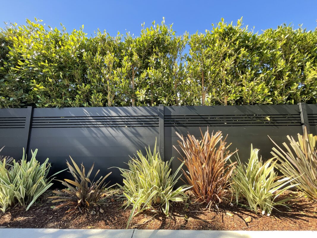 Front yard fence in Redondo Beach